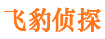 长岭外遇取证